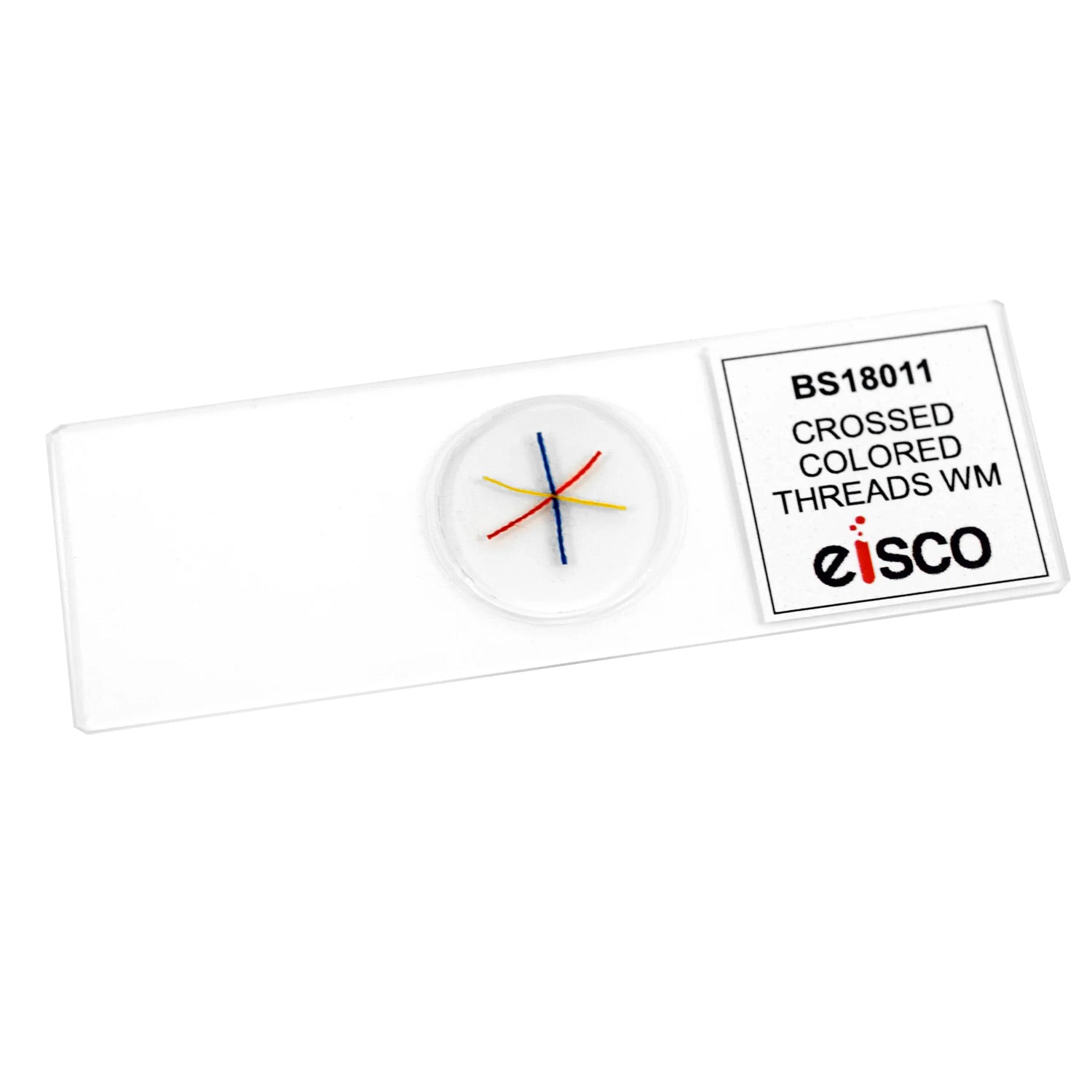 Prepared Microscope Slide – Crossed Colored Threads (Red, Yellow, Blue) – 75x25mm – Introductory Microscopy Learning Tool