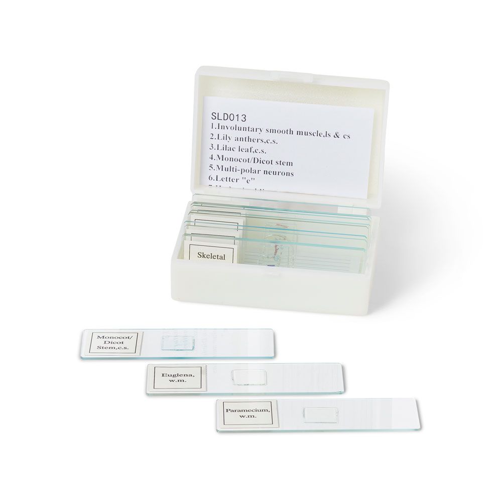 United Scientific® Biology Prepared Microscope Slide Set – 13 High-Quality Slides with ABS Case for Classroom & Lab Use