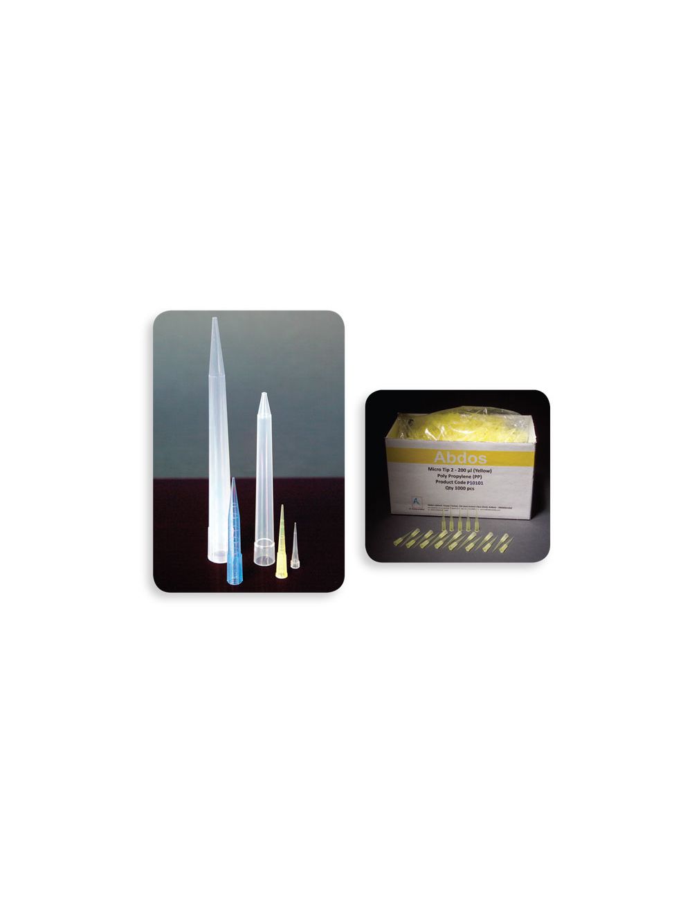 United Scientific® Universal Pipette Tips 0.5–10µL, Natural, Bulk Pack of 1000 – Low Retention, Autoclavable Micropipette Tips