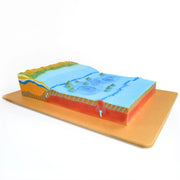 Eisco® Sea Floor Model – Labeled Underwater Geological Features | Wall-Mountable Backboard for Classroom & Marine Geology Education