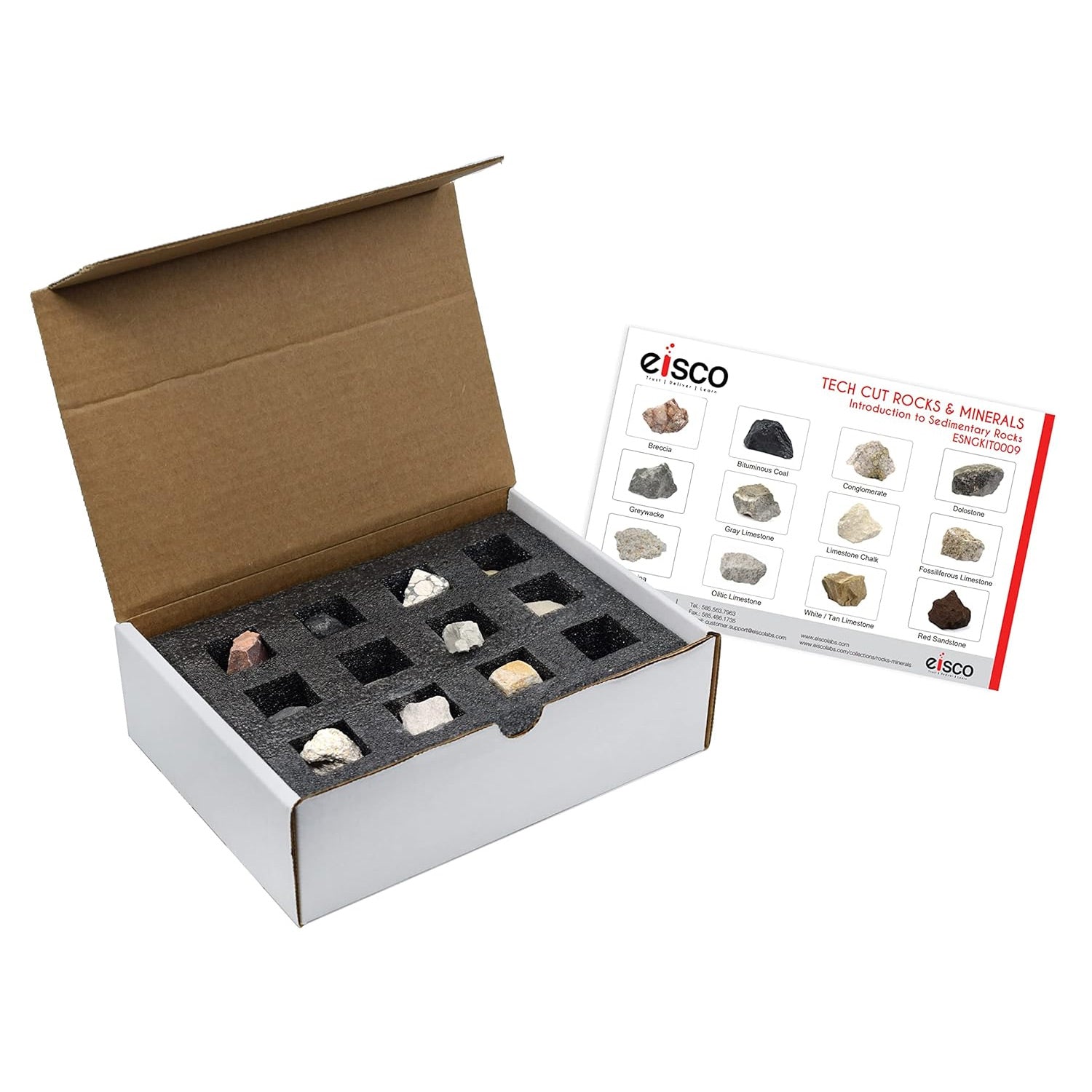 Eisco Labs Sedimentary Rock Kit – 12 Hand-Selected Specimens with Stor ...