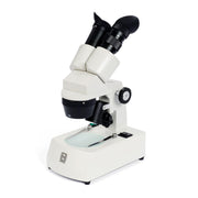 National Optical 452TBL & 453TBL-10-LED Dual Magnification Stereo Microscopes — Cordless, Compact, and Classroom-Ready