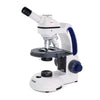 40X-1000X
