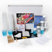 United Scientific® pH Indicators and Natural Dyes STEM Kit – Hands-On Chemistry Learning Set for Classroom Experiments