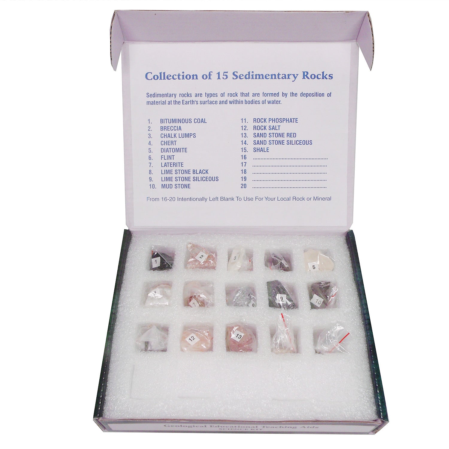United Scientific® Sedimentary Rock Set – 15 Classroom Specimens for Geology & Earth Science Education