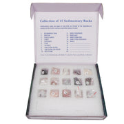 United Scientific® Sedimentary Rock Set – 15 Classroom Specimens for Geology & Earth Science Education