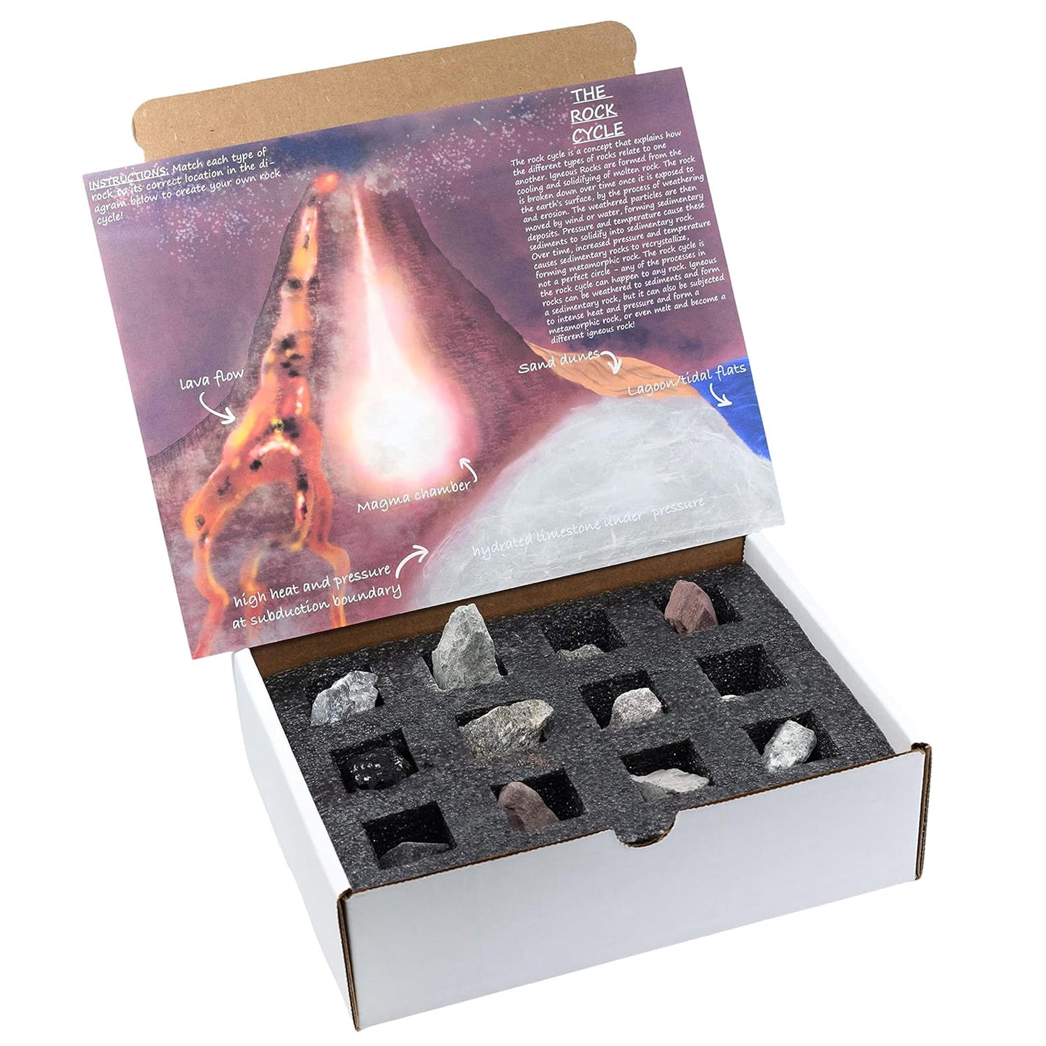 Eisco Labs Introduction to Igneous Rocks Kit – 12 Premium Geology Specimens with Storage Box & ID Card for Classroom & Home Learning