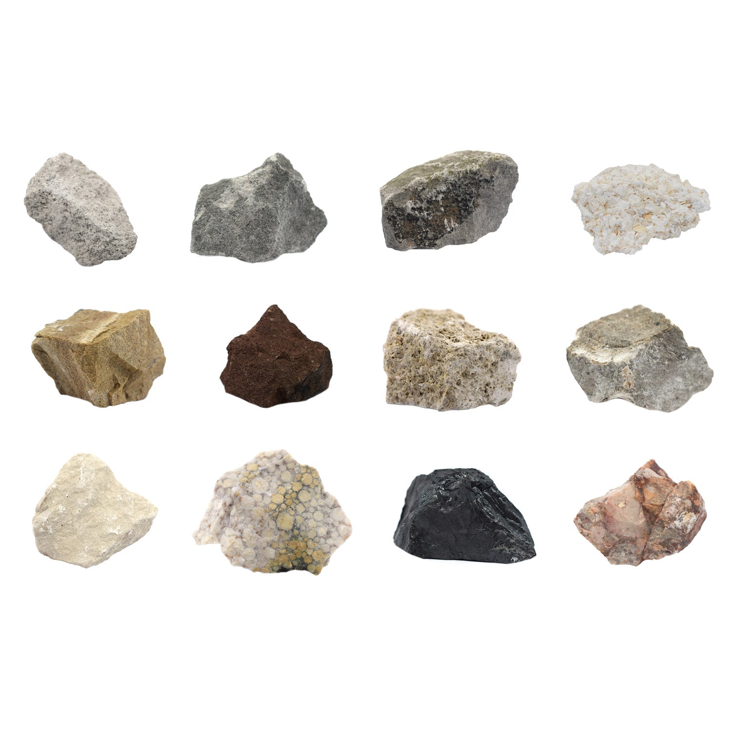 Eisco Labs Sedimentary Rock Kit – 12 Hand-Selected Specimens with Storage Box & ID Card – Geology Classroom & Home Study Set