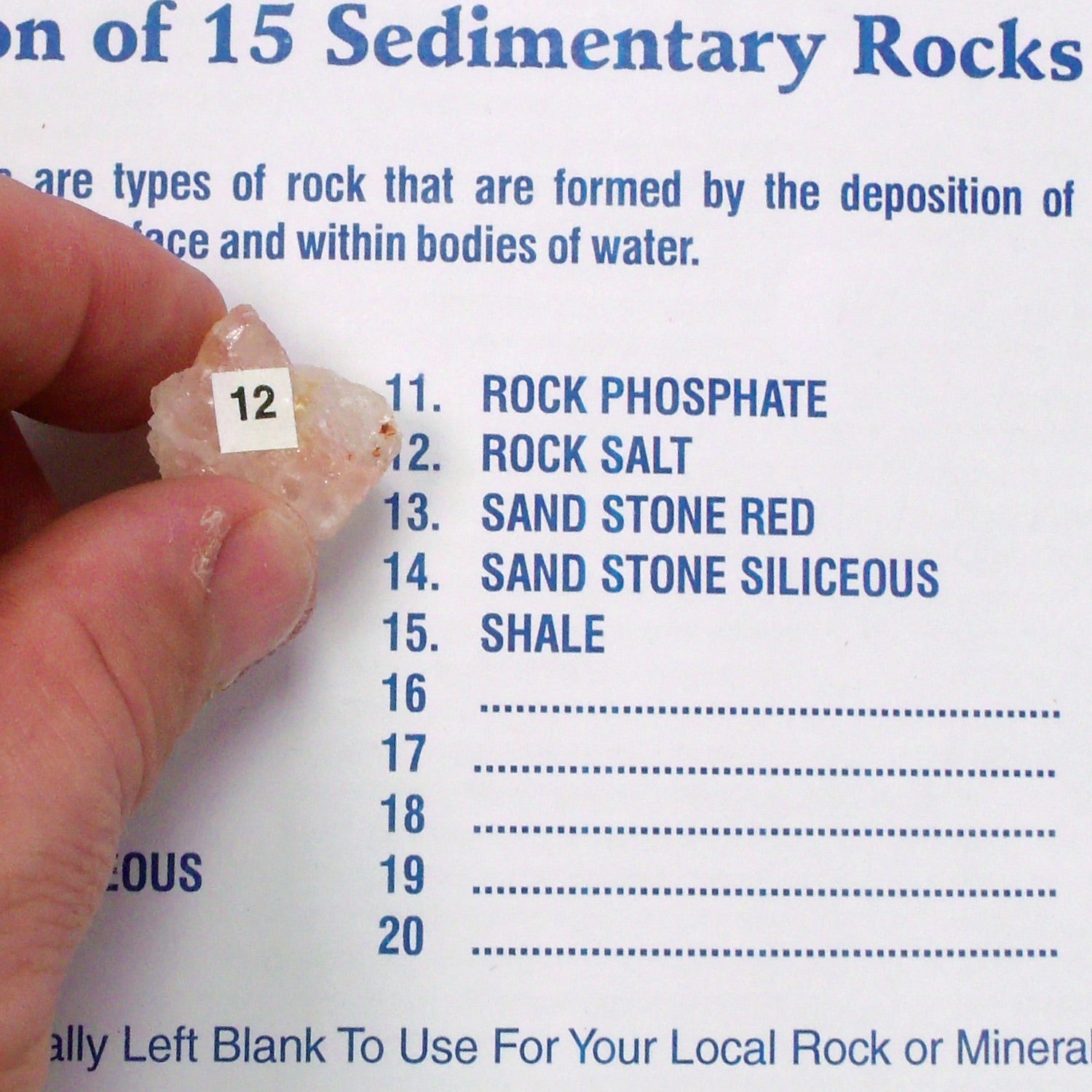 United Scientific® Sedimentary Rock Set – 15 Classroom Specimens for Geology & Earth Science Education