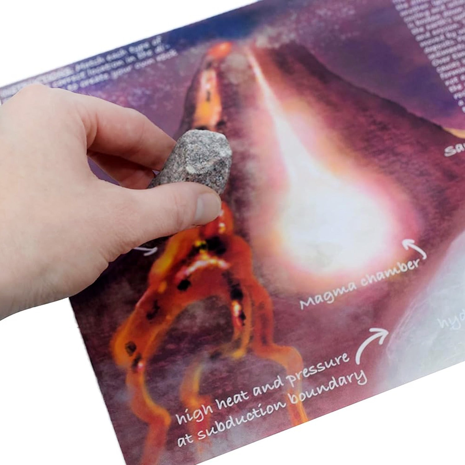 Eisco Labs Introduction to Igneous Rocks Kit – 12 Premium Geology Specimens with Storage Box & ID Card for Classroom & Home Learning