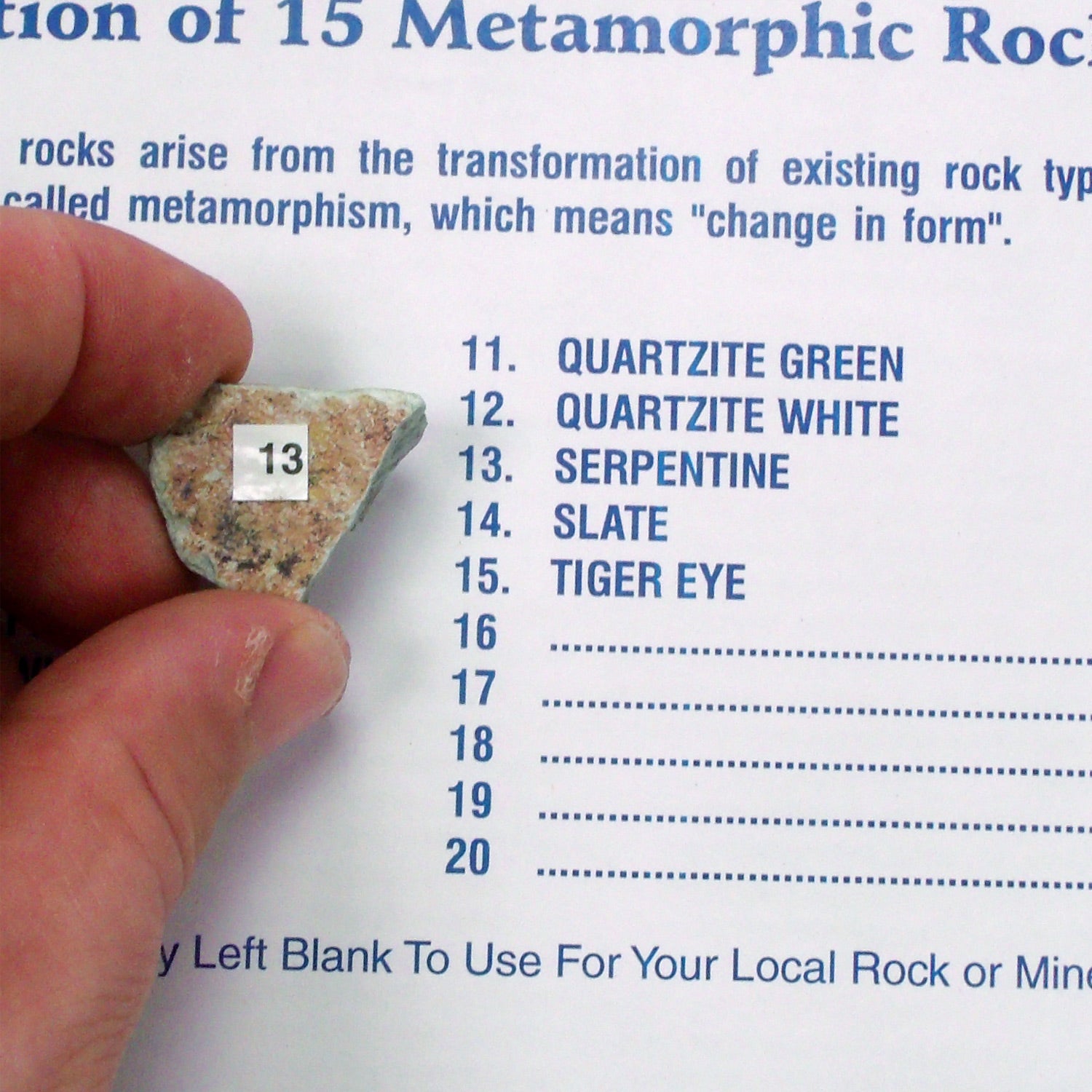 United Scientific® Metamorphic Rock Set – 15 Classroom Geology Specimens for Earth Science & Rock Identification