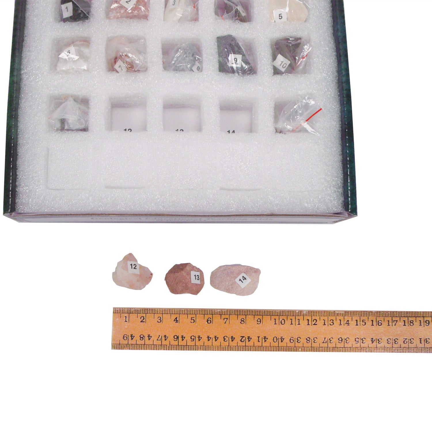United Scientific® Sedimentary Rock Set – 15 Classroom Specimens for Geology & Earth Science Education