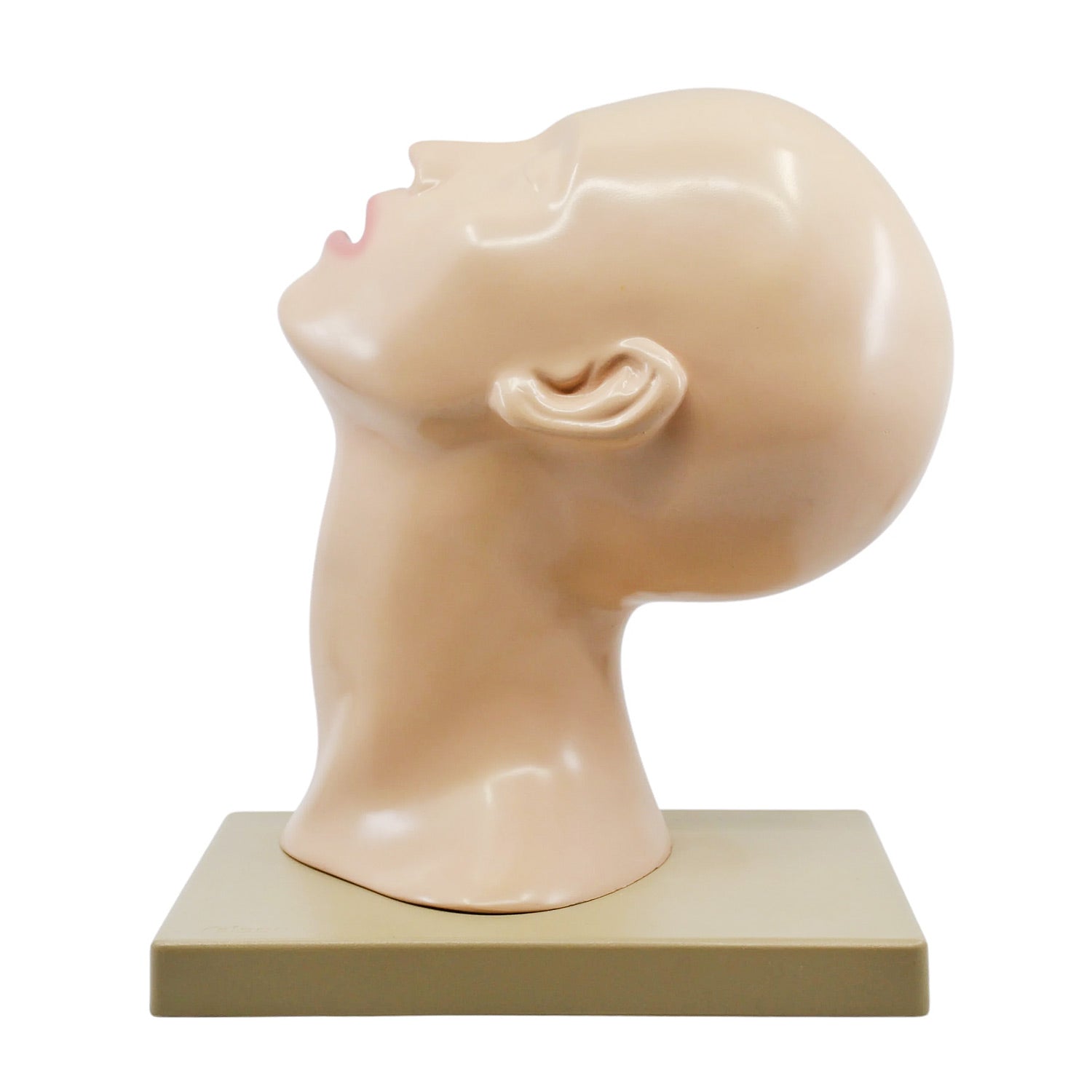 Eisco Labs® Nasal Swab Training Model – 12 Inch PVC 3D Nasopharyngeal Swab Demonstration Model for Medical & Educational Use