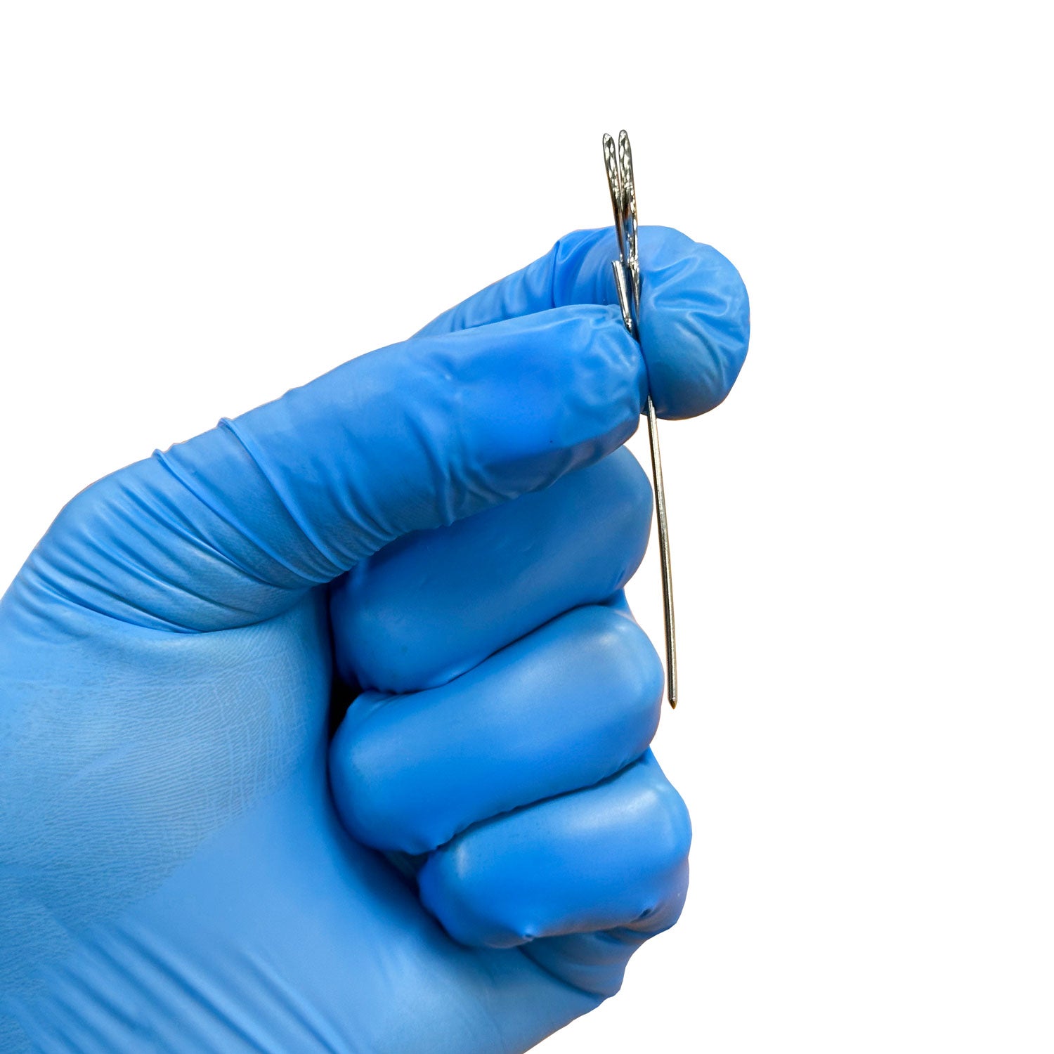United Scientific® Dissection Pins with Label Holders – Pack of 50, Corrosion-Resistant Steel, 64mm Length