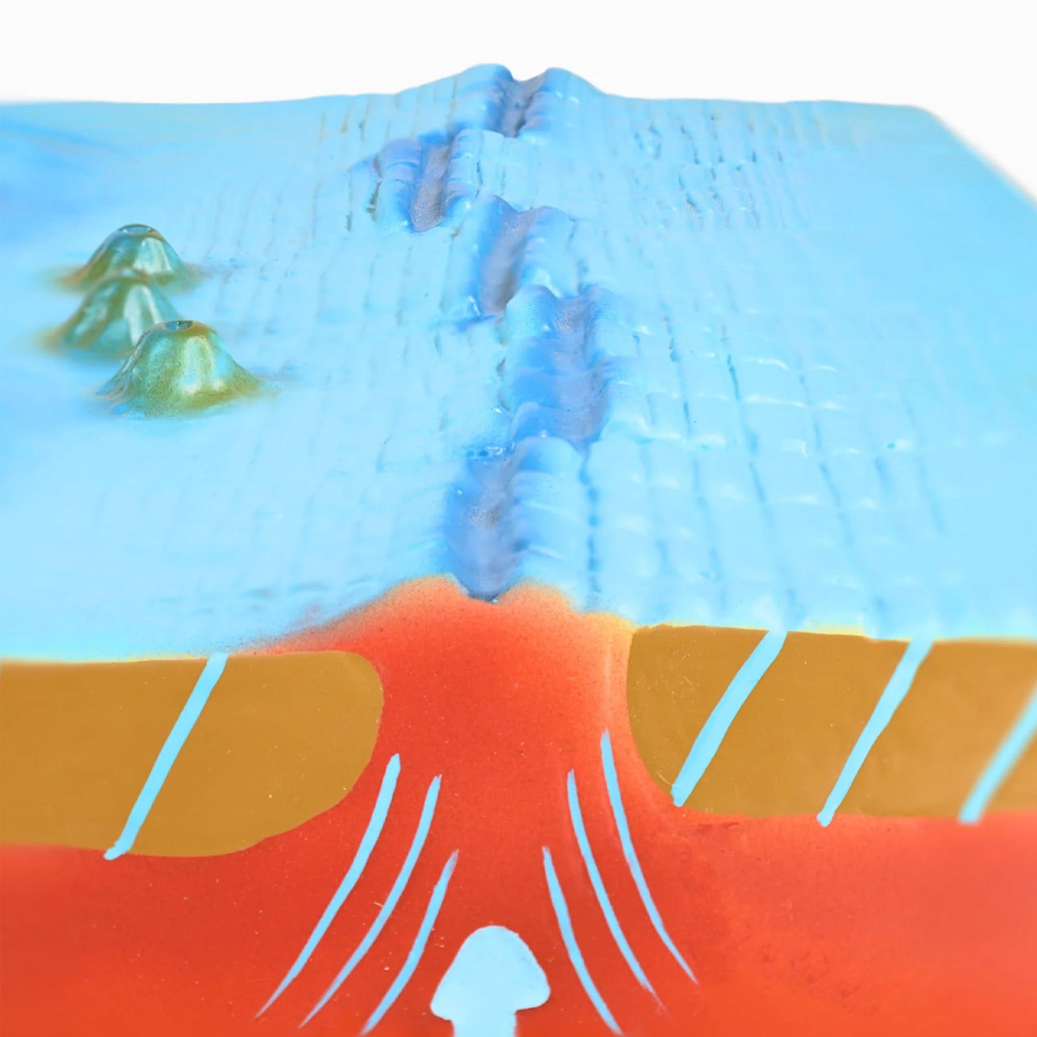 Eisco® Sea Floor Model – Labeled Underwater Geological Features | Wall-Mountable Backboard for Classroom & Marine Geology Education