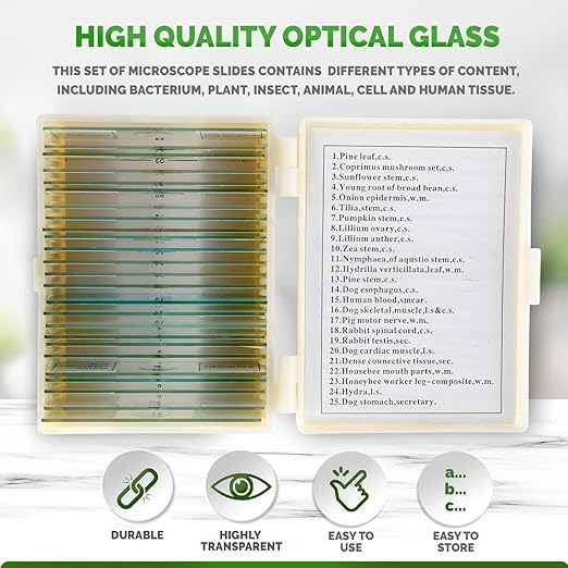 AmScope 25pc Prepared Glass Microscope Slides in Plastic Case with Plant, Fungus, Insect and Mammal Specimens
