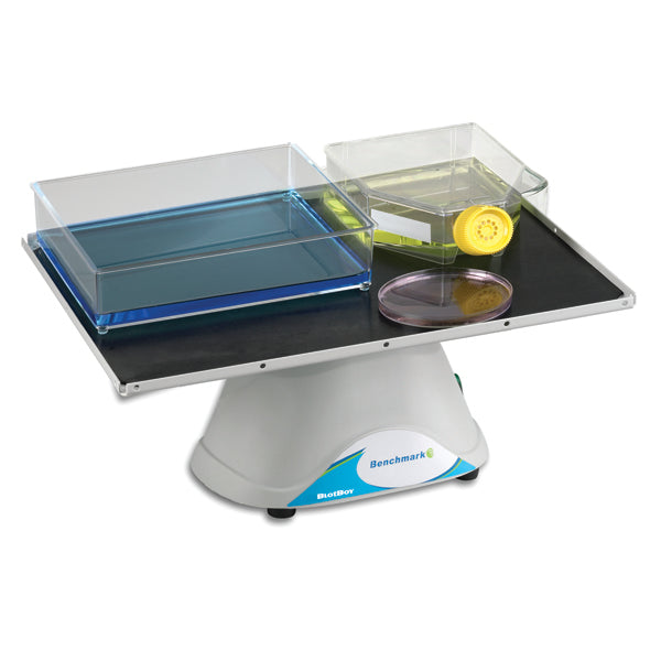 BlotBoy™ 3D Laboratory Rocker – Fixed Speed Gel Blotter with 12"x12" Platform & Flat Mat, Ideal for Blot Washing & Staining