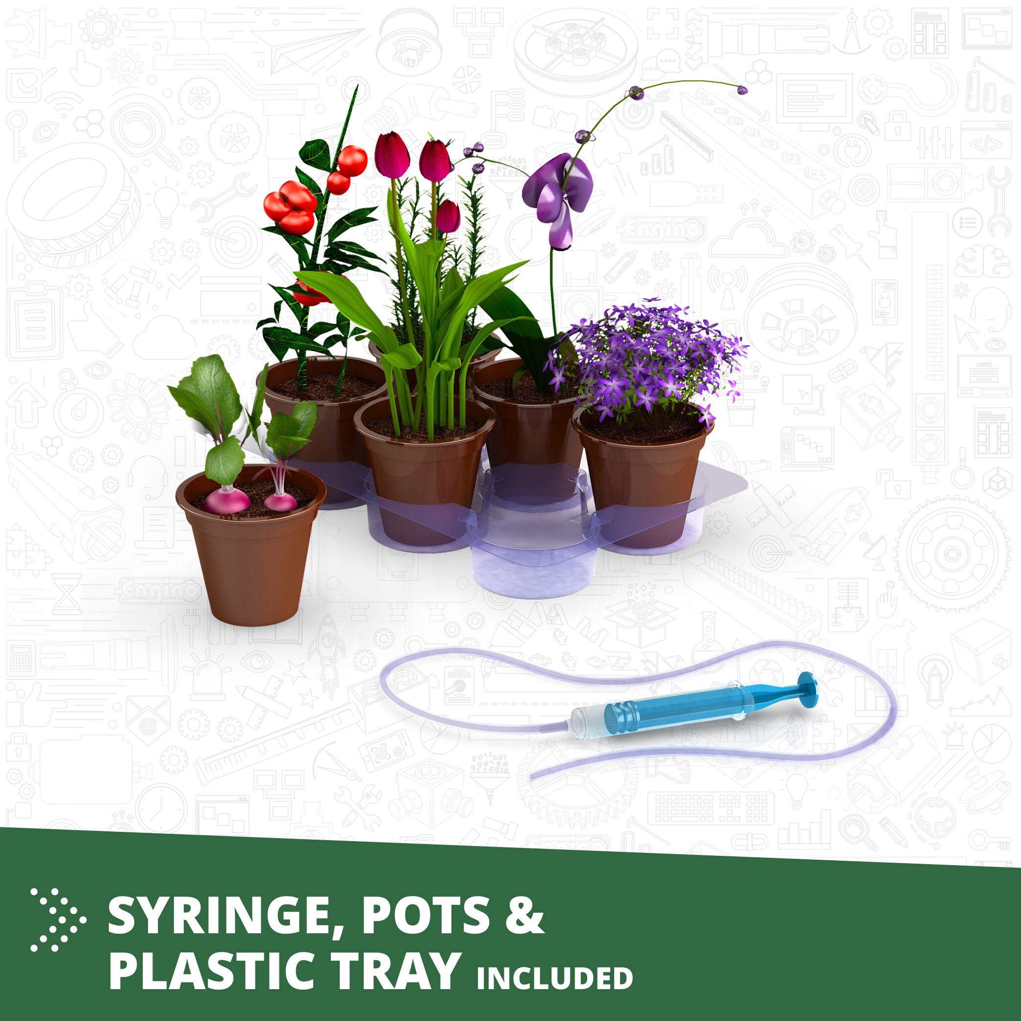Engino® STEM Botanic Laboratory Greenhouse Kit – Educational Plant Science Kit for Kids