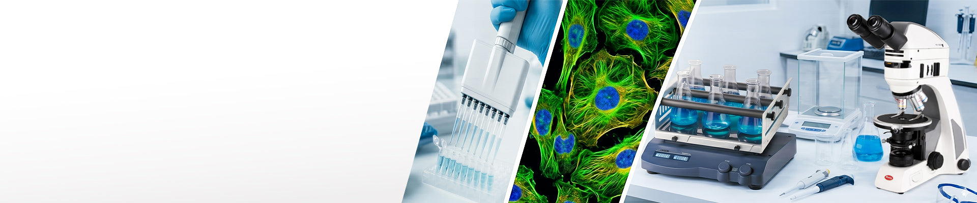 Nexera Scientific