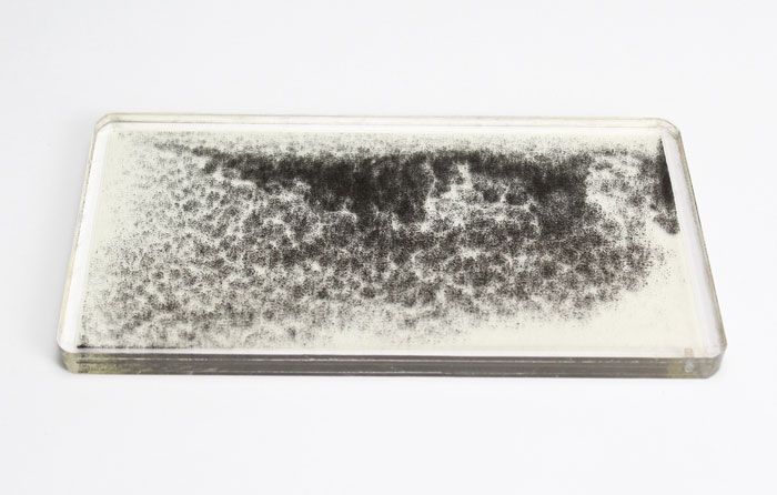 United Scientific® Magnetic Field Demonstrator – Acrylic Case with Iron Filings for Classroom Science Experiments & Physics Education