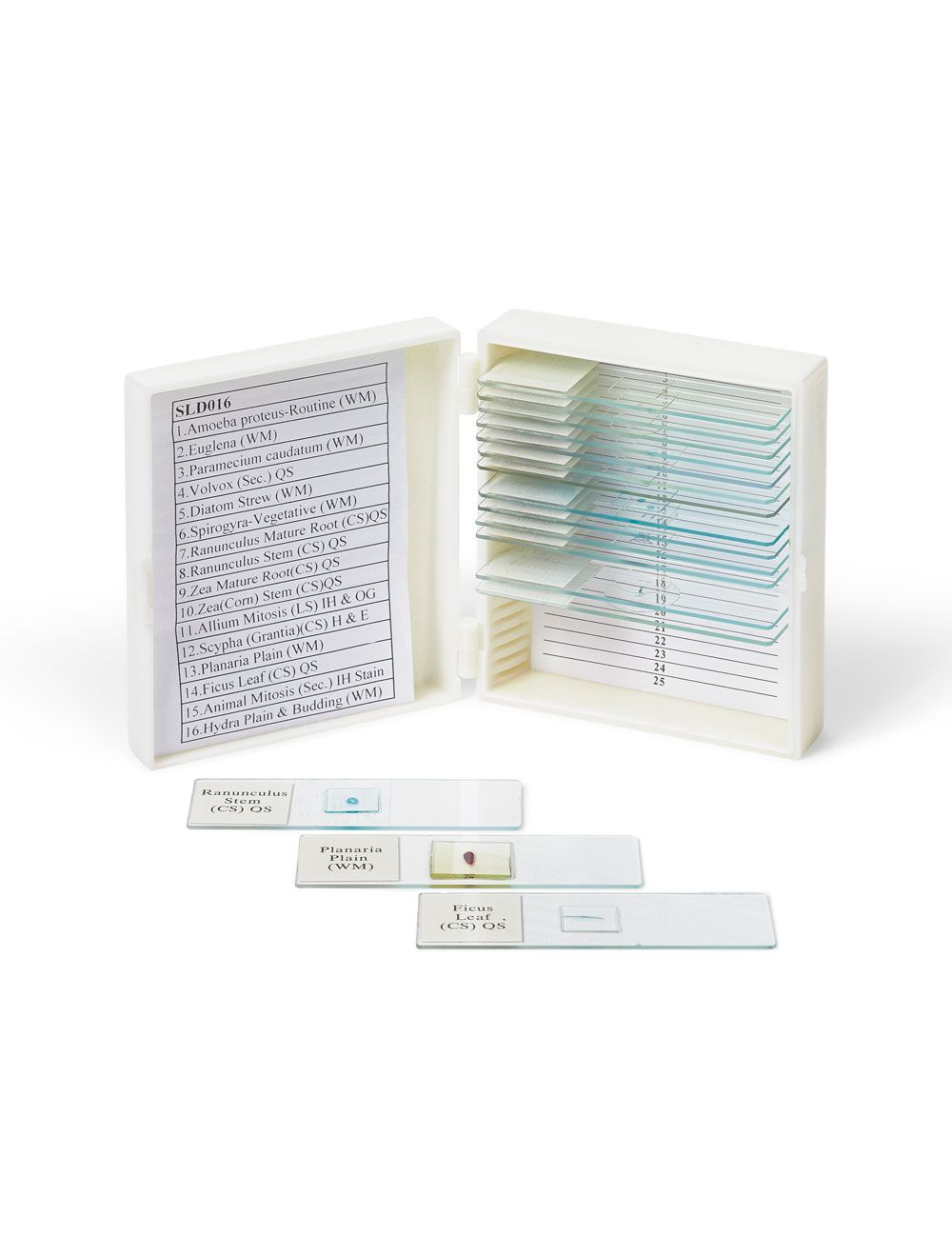 United Scientific® Biology Prepared Microscope Slide Set – 13 High-Quality Slides with ABS Case for Classroom & Lab Use