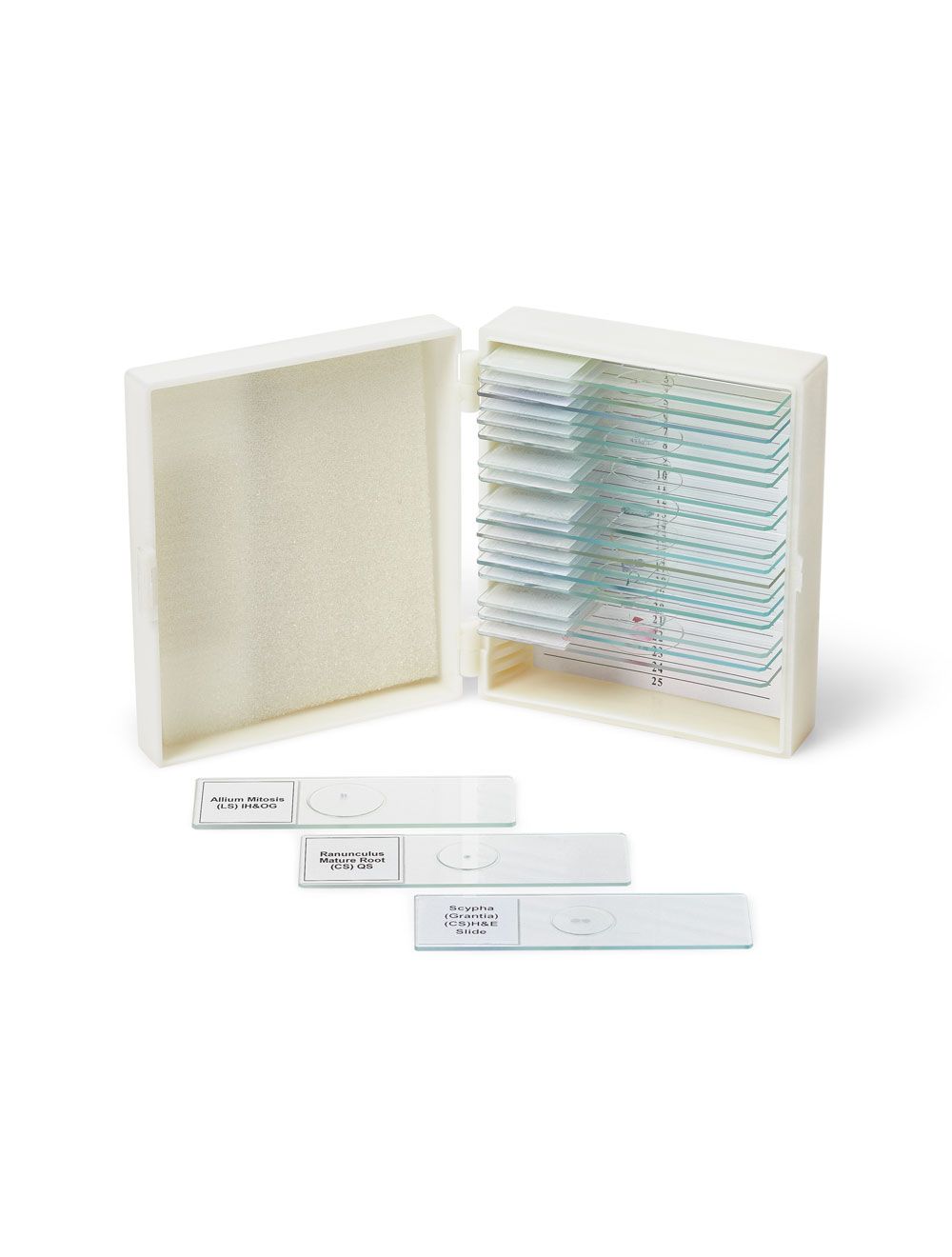 United Scientific® Biology Prepared Microscope Slide Set – 13 High-Quality Slides with ABS Case for Classroom & Lab Use