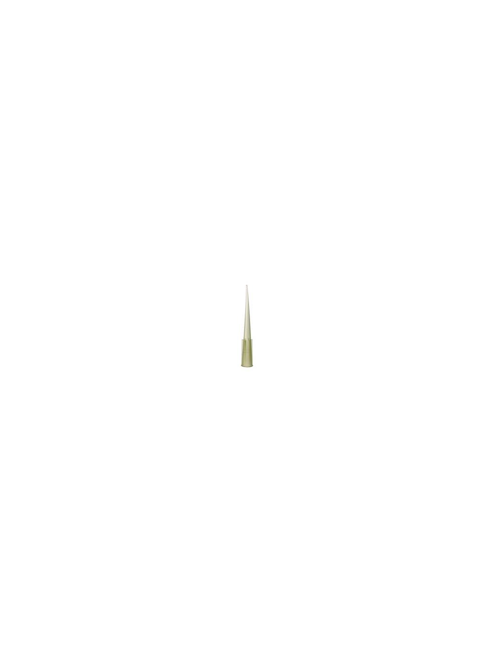 United Scientific® Universal Pipette Tips 0.5–10µL, Natural, Bulk Pack of 1000 – Low Retention, Autoclavable Micropipette Tips