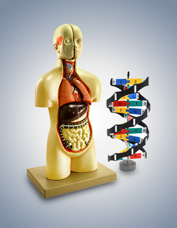Nexera Scientific